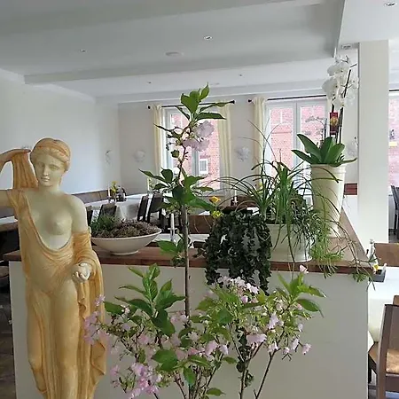 Hotel Helena 4*